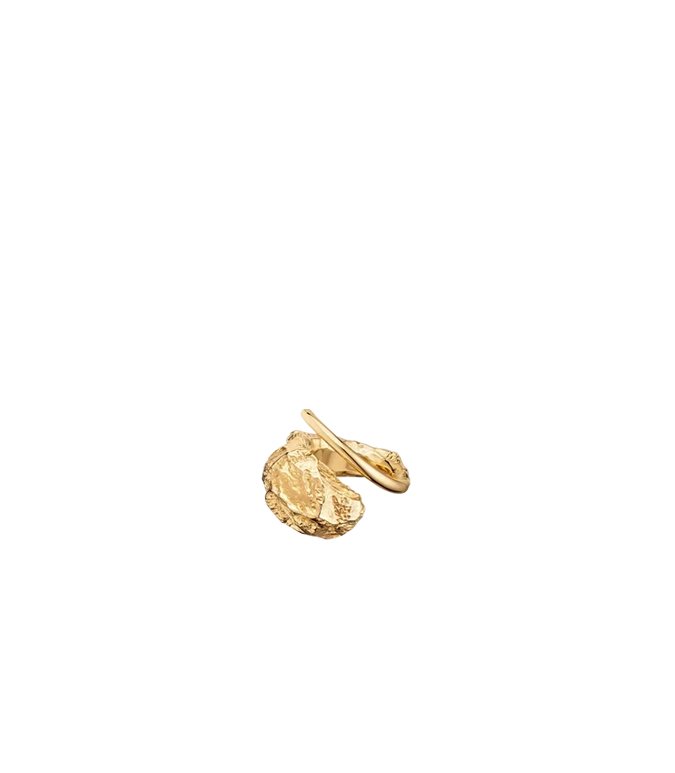 Eroz Ring Edition 24 carat gold gilded
