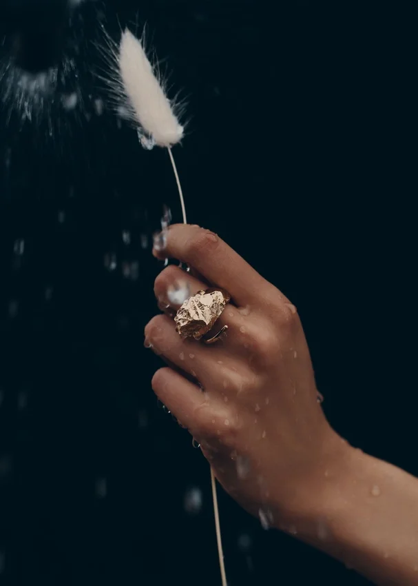 Eroz Ring Edition 24 carat gold gilded