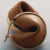 Ormé Hoop Earrings Edition Gold Gilded with Camel Leather